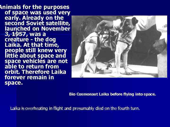Animals for the purposes of space was used very early. Already on the second