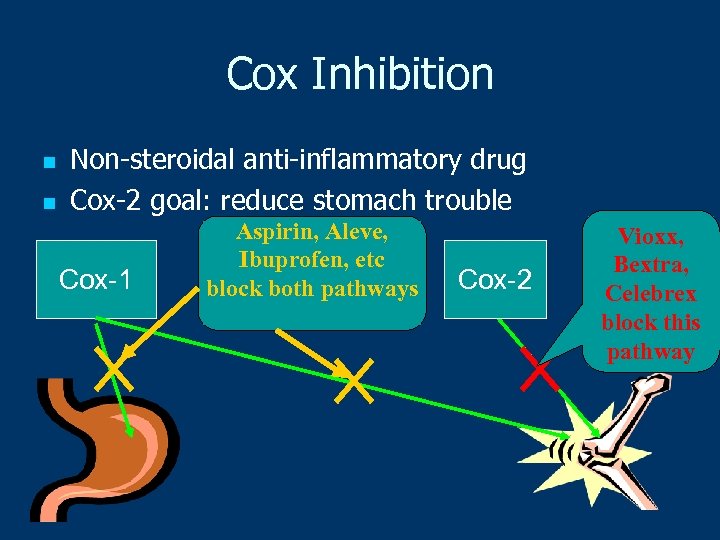 Cox Inhibition n n Non-steroidal anti-inflammatory drug Cox-2 goal: reduce stomach trouble Cox-1 Aspirin,