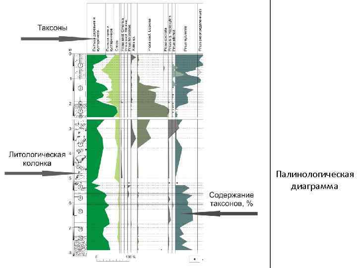 Палинологическая диаграмма 