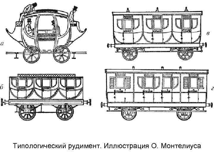 Типологический рудимент. Иллюстрация О. Монтелиуса 