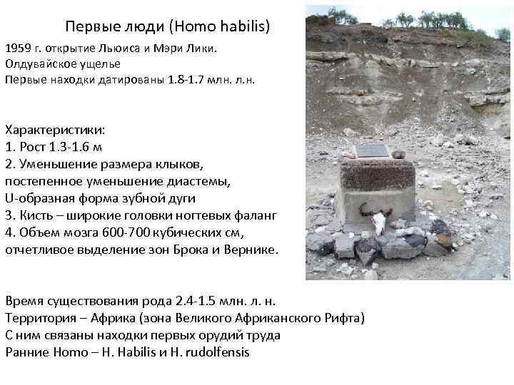Первые люди (Homo habilis) 1959 г. открытие Льюиса и Мэри Лики. Олдувайское ущелье Первые