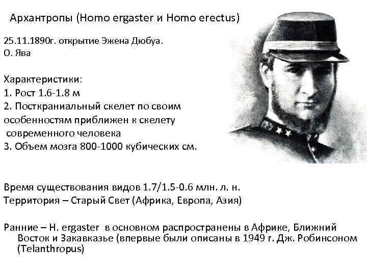 Архантропы (Homo ergaster и Homo erectus) 25. 11. 1890 г. открытие Эжена Дюбуа. О.