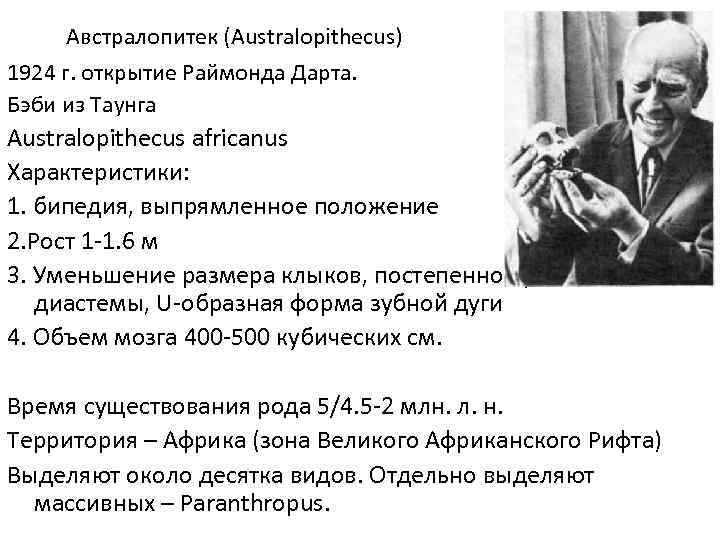 Австралопитек (Australopithecus) 1924 г. открытие Раймонда Дарта. Бэби из Таунга Australopithecus africanus Характеристики: 1.