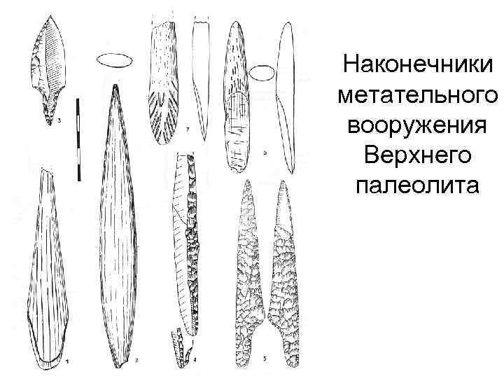 Наконечники метательного вооружения Верхнего палеолита 