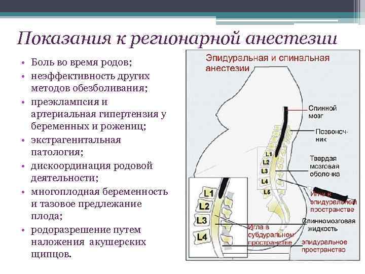 Показания к регионарной анестезии • Боль во время родов; • неэффективность других методов обезболивания;