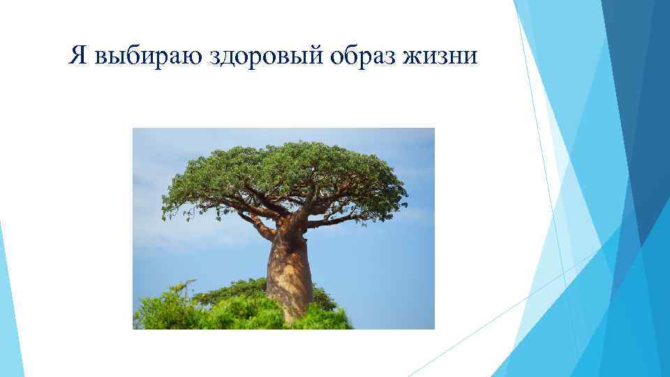 Я выбираю здоровый образ жизни 