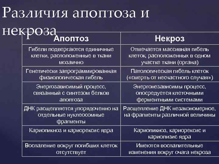 Различия апоптоза и некроза Апоптоз Некроз Гибели подвергаются единичные клетки, расположенные в ткани мозаично