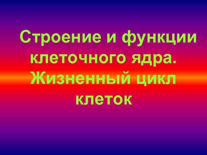 Строение и функции клеточного ядра. Жизненный цикл клеток 