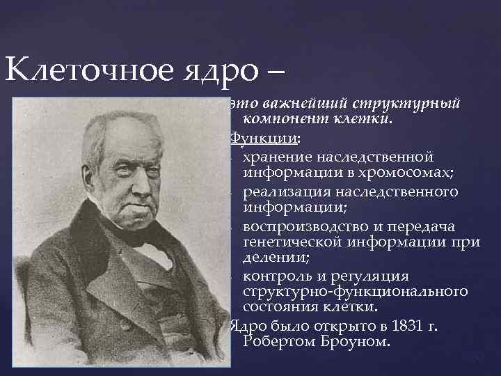 Клеточное ядро – Роберт Броун это важнейший структурный компонент клетки. Функции: - хранение наследственной