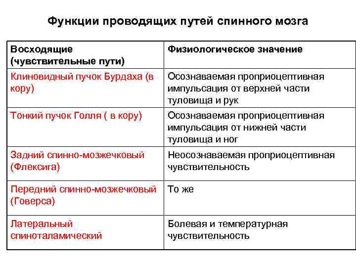 Функции проводящих путей спинного мозга Восходящие (чувствительные пути) Физиологическое значение Клиновидный пучок Бурдаха (в