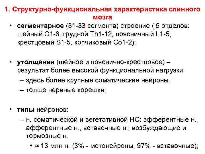 1. Структурно-функциональная характеристика спинного мозга • сегментарное (31 -33 сегмента) строение ( 5 отделов: