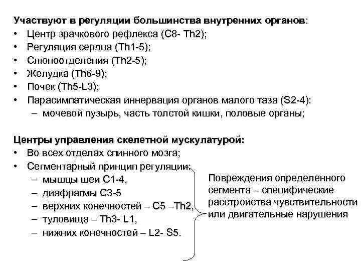 Участвуют в регуляции большинства внутренних органов: • Центр зрачкового рефлекса (C 8 - Th