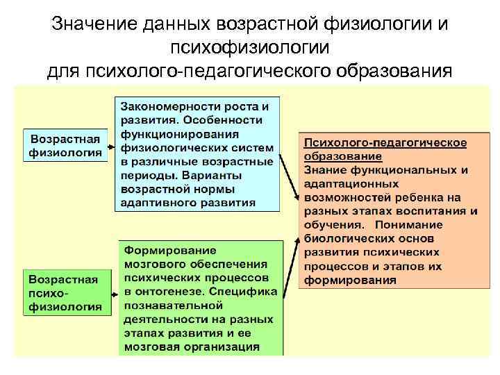 Значение данных возрастной физиологии и психофизиологии для психолого-педагогического образования 