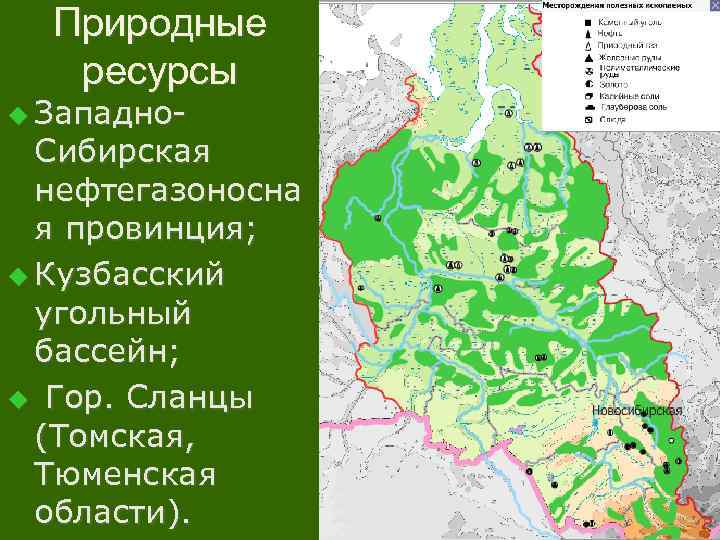 Природные ресурсы u Западно- Сибирская нефтегазоносна я провинция; u Кузбасский угольный бассейн; u Гор.