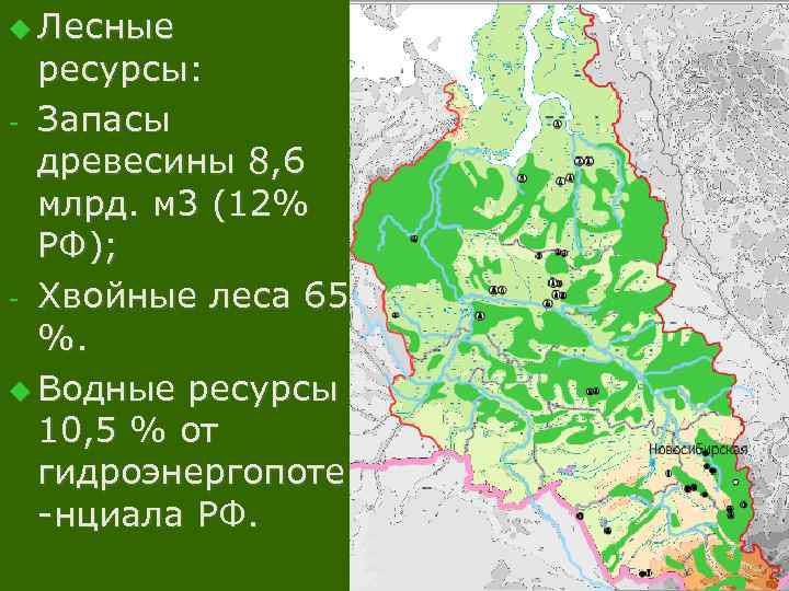 u Лесные ресурсы: - Запасы древесины 8, 6 млрд. м 3 (12% РФ); -