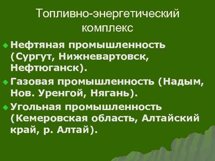 Топливно-энергетический комплекс u Нефтяная промышленность (Сургут, Нижневартовск, Нефтюганск). u Газовая промышленность (Надым, Нов. Уренгой,