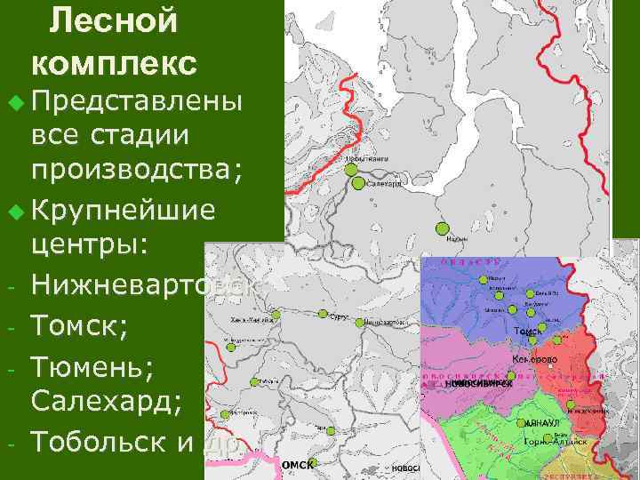 Лесной комплекс u Представлены все стадии производства; u Крупнейшие центры: - Нижневартовск; - Томск;