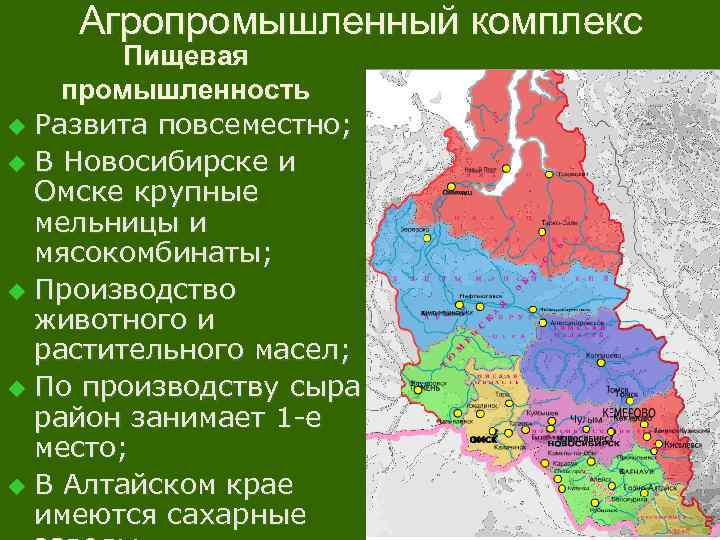 Агропромышленный комплекс Пищевая промышленность u Развита повсеместно; u В Новосибирске и Омске крупные мельницы