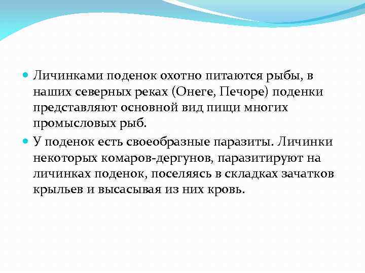  Личинками поденок охотно питаются рыбы, в наших северных реках (Онеге, Печоре) поденки представляют