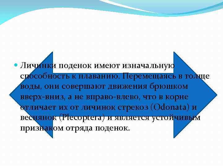  Личинки поденок имеют изначальную способность к плаванию. Перемещаясь в толще воды, они совершают