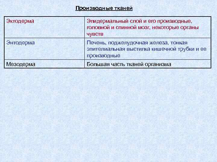 Производные тканей Эктодерма Эпидермальный слой и его производные, головной и спинной мозг, некоторые органы