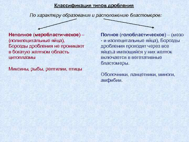 Классификация типов дробления По характеру образования и расположению бластомеров: Неполное (меробластическое) – (полилецитальные яйца),
