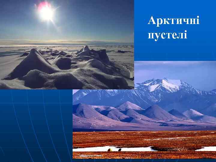 Арктичні пустелі 