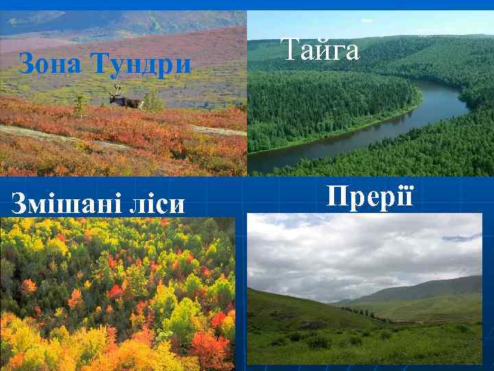 Зона Тундри Змішані ліси Тайга Прерії 