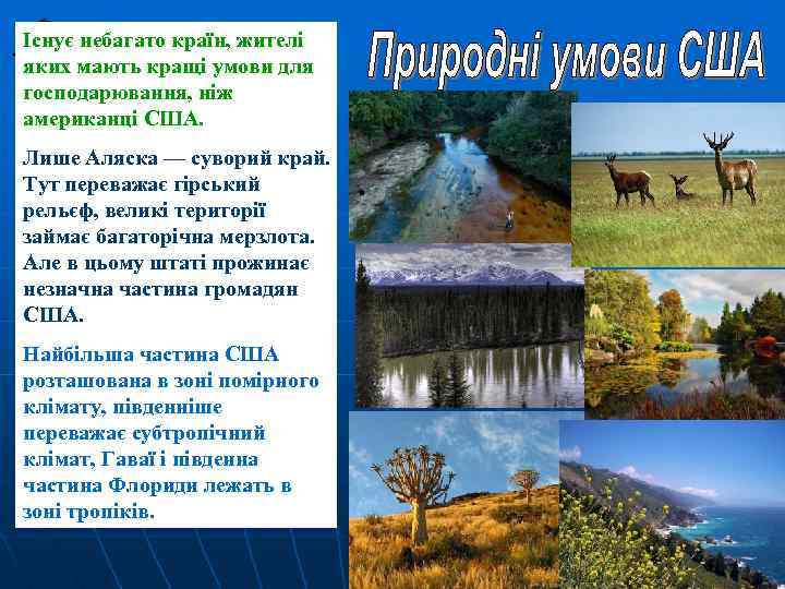 Існує небагато країн, жителі яких мають кращі умови для господарювання, ніж американці США. Лише