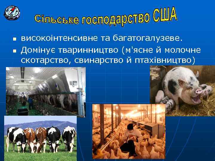 n n високоінтенсивне та багатогалузеве. Домінує тваринництво (м'ясне й молочне скотарство, свинарство й птахівництво)