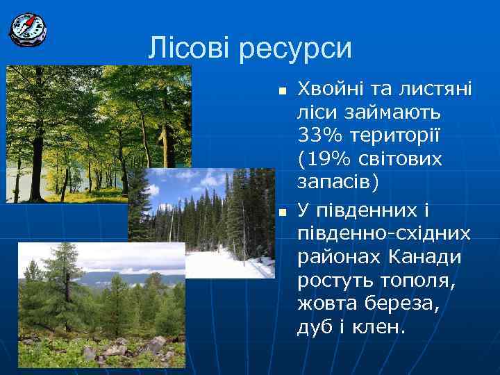 Лісові ресурси n n Хвойні та листяні ліси займають 33% території (19% світових запасів)
