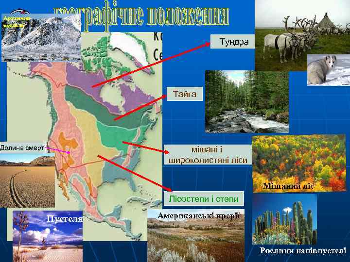 Арктична пустеля Тундра Тайга Долина смерті мішані і широколистяні ліси Мішаний ліс Лісостепи і