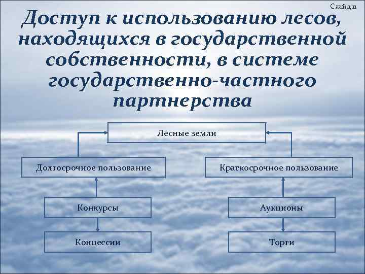 Слайд 11 Доступ к использованию лесов, находящихся в государственной собственности, в системе государственно-частного партнерства