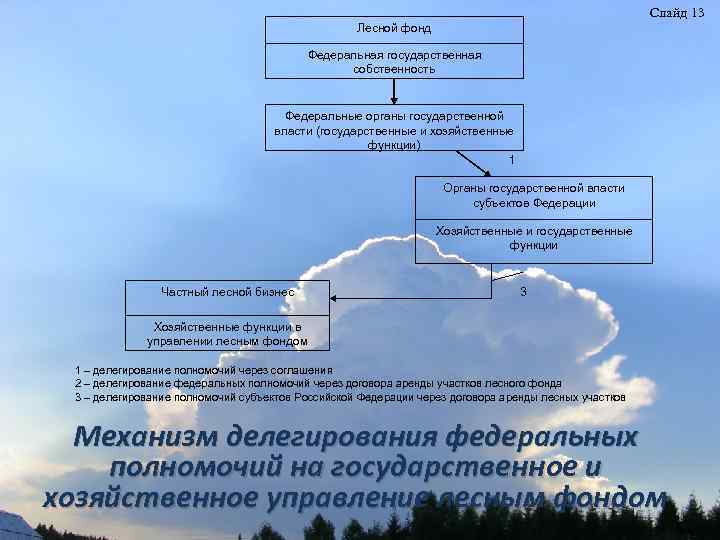 Слайд 13 Лесной фонд Федеральная государственная собственность Федеральные органы государственной власти (государственные и хозяйственные