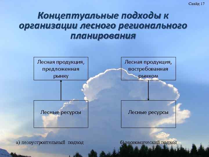 Слайд 17 Концептуальные подходы к организации лесного регионального планирования Лесная продукция, предложенная рынку Лесная