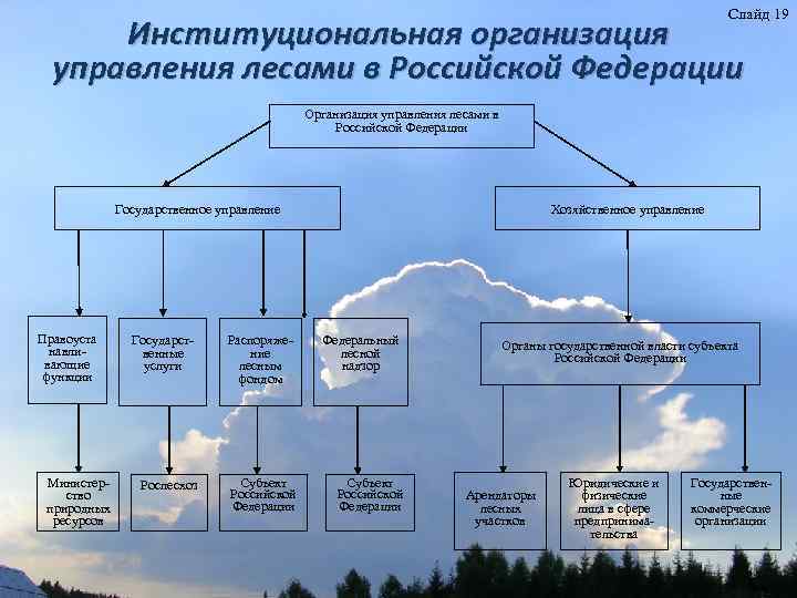 Слайд 19 Институциональная организация управления лесами в Российской Федерации Организация управления лесами в Российской