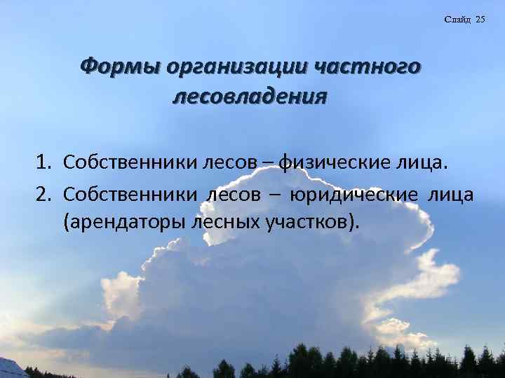 Слайд 25 Формы организации частного лесовладения 1. Собственники лесов – физические лица. 2. Собственники