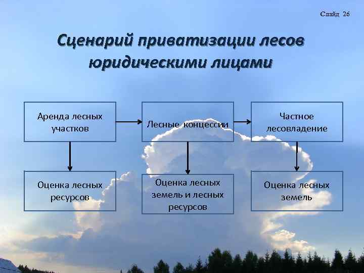 Слайд 26 Сценарий приватизации лесов юридическими лицами Аренда лесных участков Лесные концессии Частное лесовладение