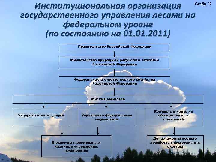 Институциональная организация Слайд 29 государственного управления лесами на федеральном уровне (по состоянию на 01.