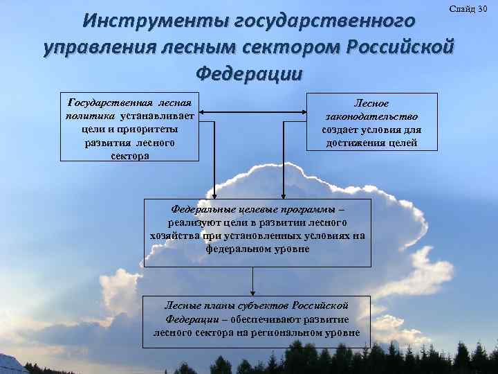 Слайд 30 Инструменты государственного управления лесным сектором Российской Федерации Государственная лесная политика устанавливает цели