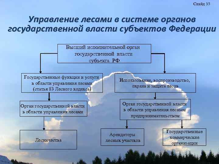 Слайд 35 Управление лесами в системе органов государственной власти субъектов Федерации Высший исполнительной орган