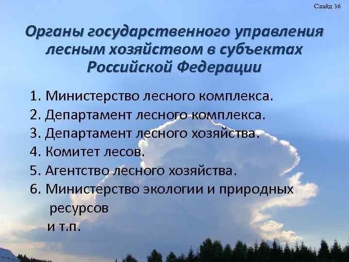 Слайд 36 Органы государственного управления лесным хозяйством в субъектах Российской Федерации 1. Министерство лесного