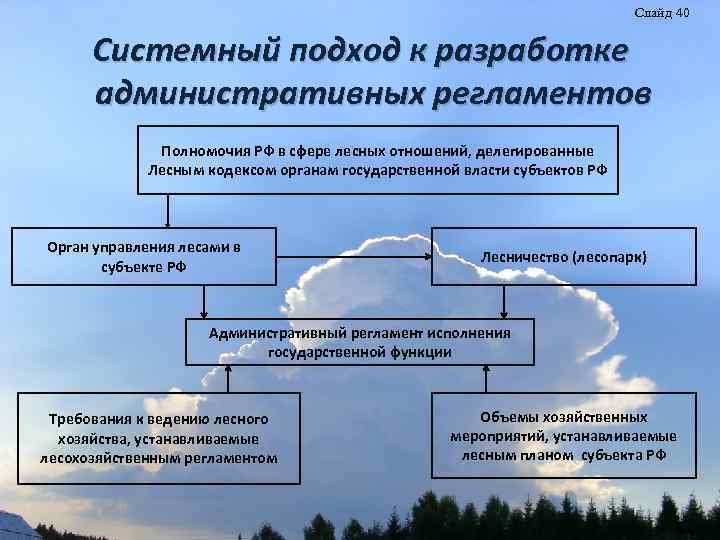 Слайд 40 Системный подход к разработке административных регламентов Полномочия РФ в сфере лесных отношений,