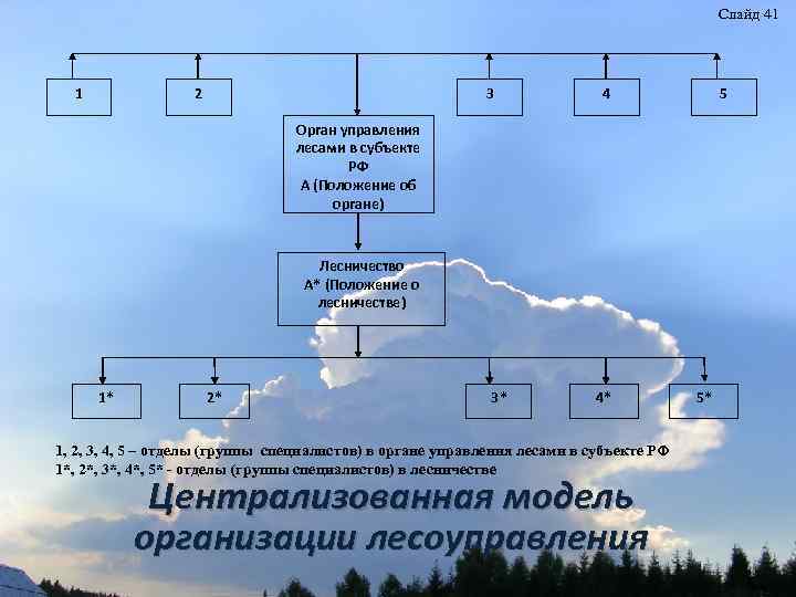 Слайд 41 1 2 3 4 5 Орган управления лесами в субъекте РФ А