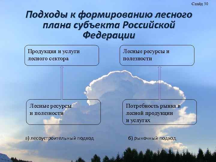 Слайд 50 Подходы к формированию лесного плана субъекта Российской Федерации Продукция и услуги лесного