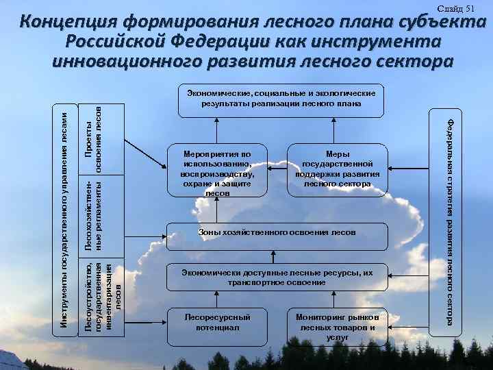 Что такое лесной план субъекта российской федерации