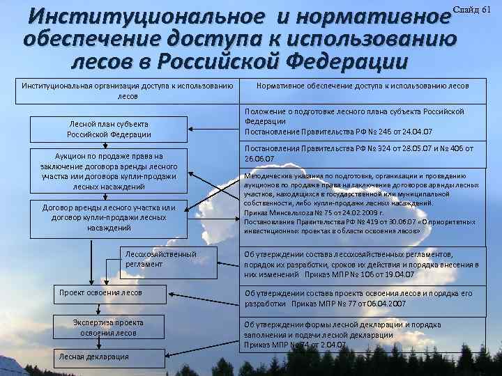 Институциональное и нормативное обеспечение доступа к использованию лесов в Российской Федерации Слайд 61 Институциональная