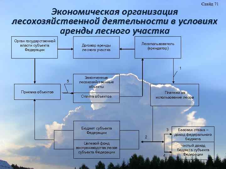 Слайд 71 Экономическая организация лесохозяйственной деятельности в условиях аренды лесного участка Орган государственной власти