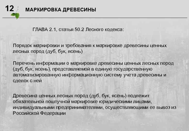 12 МАРКИРОВКА ДРЕВЕСИНЫ ГЛАВА 2. 1, статья 50. 2 Лесного кодекса: Порядок маркировки и