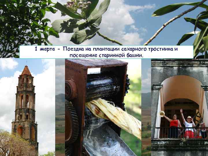 1 марта - Поездка на плантации сахарного тростника и посещение старинной башни. 